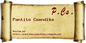 Pantits Csendike névjegykártya